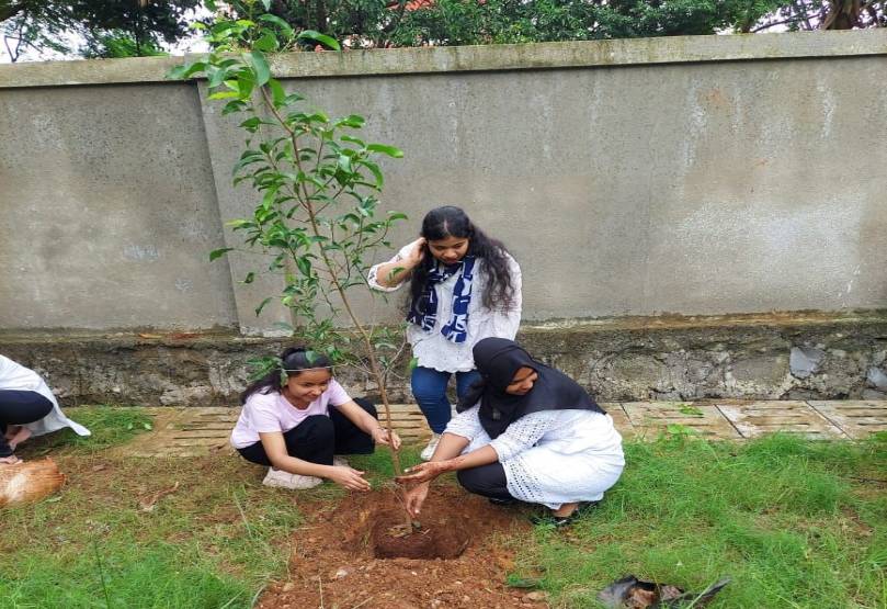 Tree Plantation Drive 2022