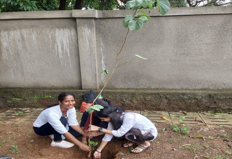 Tree Plantation Drive 2022