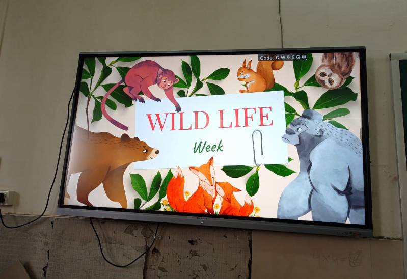 WILDLIFE WEEK Celebration by Nature Club
